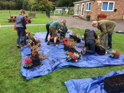 Planting Bulbs