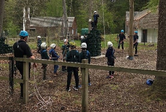 Cubs at work