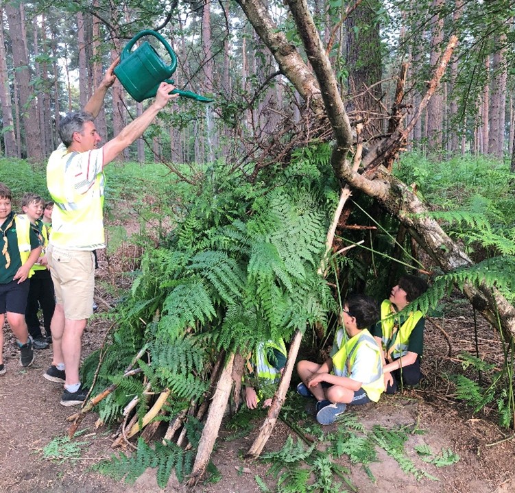 Cubs in Swinley Forest