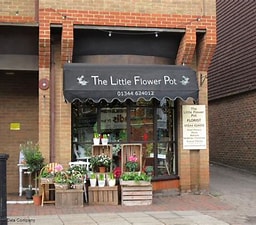 This image has an empty alt attribute; its file name is The-Little-Flower-Pot1.jpg